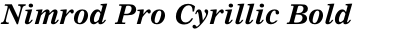Nimrod Pro Cyrillic Bold Italic